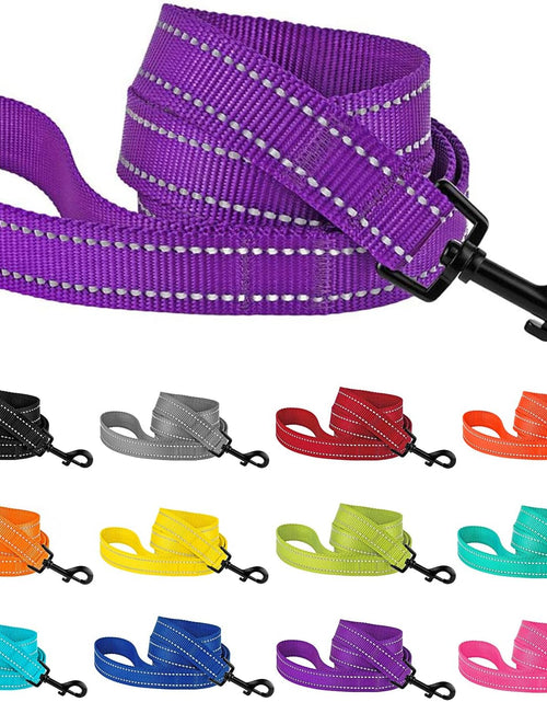 Load image into Gallery viewer, Nylon Dog Leash 5Ft for Daily Outdoor Walking Running Training Heavy Duty Reflective Pet Leashes for Large, Medium &amp; Small Dogs

