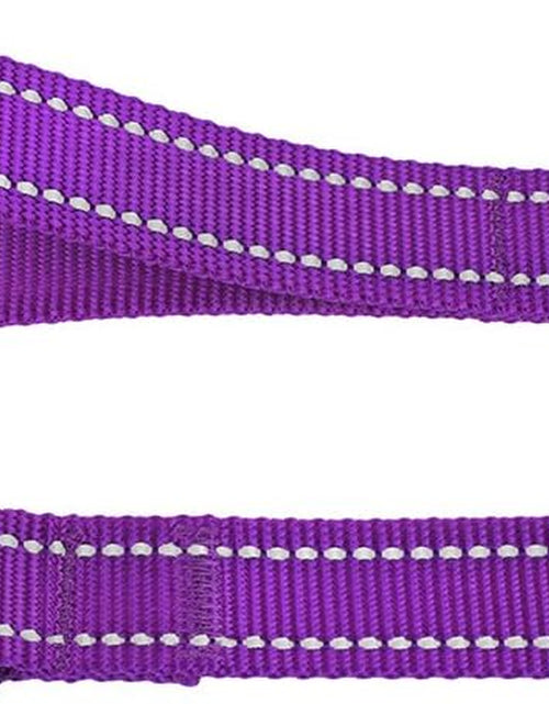 Load image into Gallery viewer, Nylon Dog Leash 5Ft for Daily Outdoor Walking Running Training Heavy Duty Reflective Pet Leashes for Large, Medium &amp; Small Dogs
