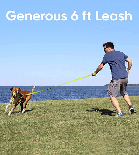 6 FT Solid Color Leash Puppy Leash Dog Leash Comfortable Handle Dog Training Leash 6 Ft Dog Leash Medium Dog Leash / Large Dog Leash Pink Dog Leash