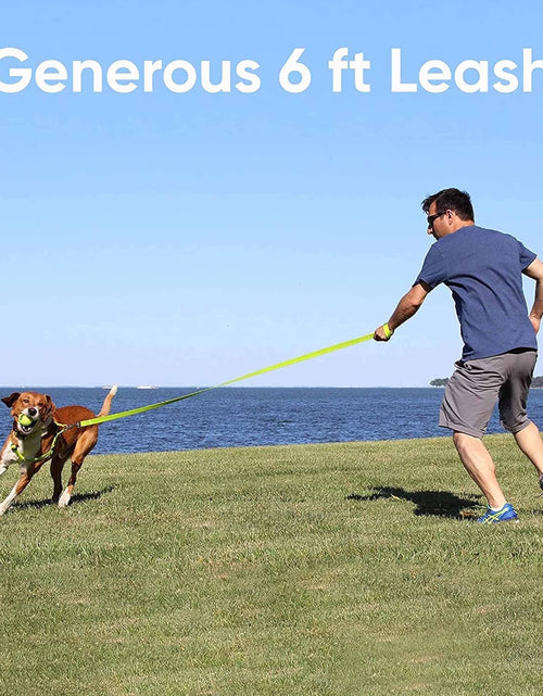 Load image into Gallery viewer, 6 FT Solid Color Leash Puppy Leash Dog Leash Comfortable Handle Dog Training Leash 6 Ft Dog Leash Medium Dog Leash / Large Dog Leash Pink Dog Leash
