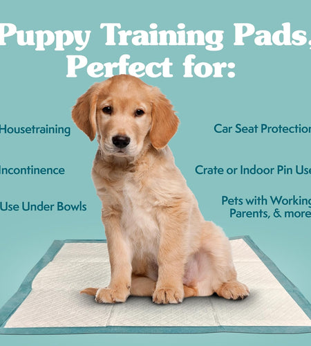 Extra Large Pee Pads for Dogs, Puppy Potty Training, Leak Proof Dog Pads, Pet Pee Pad, Disposable Puppy Pad, XLARGE 28"X30"