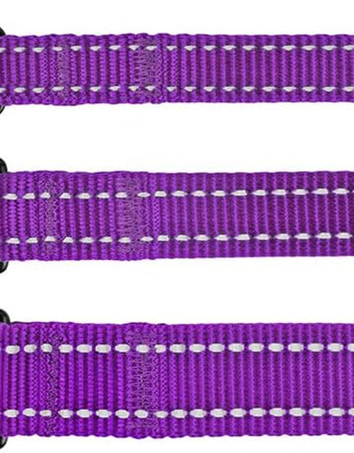 Load image into Gallery viewer, Nylon Dog Leash 5Ft for Daily Outdoor Walking Running Training Heavy Duty Reflective Pet Leashes for Large, Medium &amp; Small Dogs
