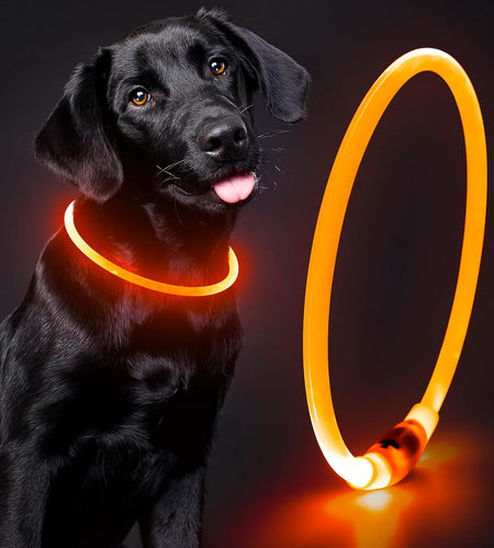 Light up Dog Collars - TPU Rechargeable LED Dog Collar, Glowing Puppy Collar, Flashing Dog Collar Lights for Night Walking (Orange)