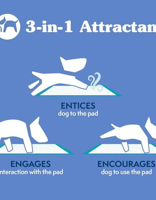 Load image into Gallery viewer, Extra Large Pee Pads for Dogs, Puppy Potty Training, Leak Proof Dog Pads, Pet Pee Pad, Disposable Puppy Pad, XLARGE 28"X30"
