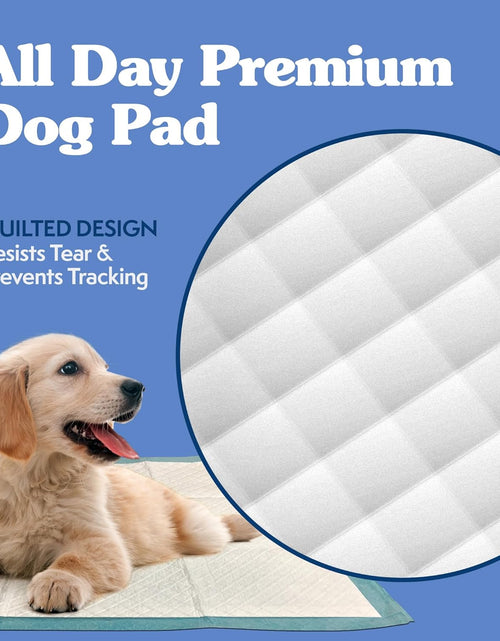 Load image into Gallery viewer, Extra Large Pee Pads for Dogs, Puppy Potty Training, Leak Proof Dog Pads, Pet Pee Pad, Disposable Puppy Pad, XLARGE 28"X30"
