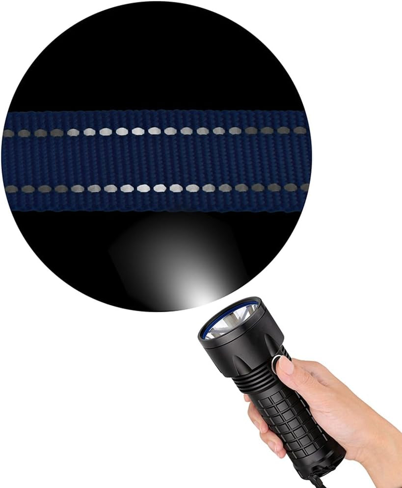 Nylon Dog Leash 5Ft for Daily Outdoor Walking Running Training Heavy Duty Reflective Pet Leashes for Large, Medium & Small Dogs