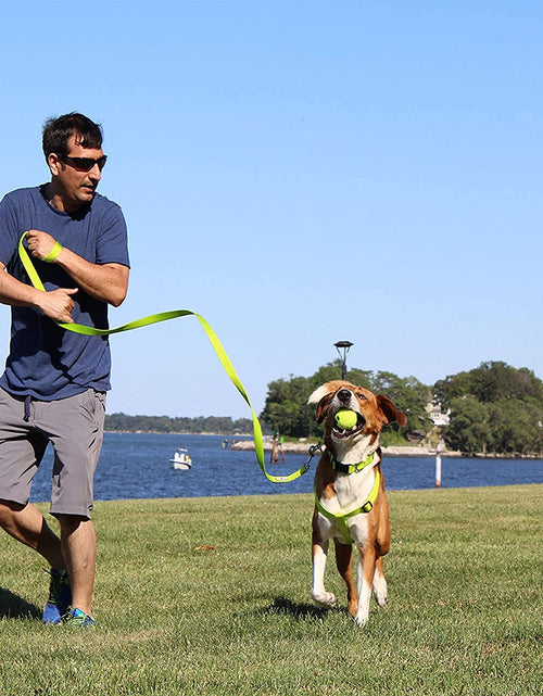 Load image into Gallery viewer, 6 FT Solid Color Leash Puppy Leash Dog Leash Comfortable Handle Dog Training Leash 6 Ft Dog Leash Medium Dog Leash / Large Dog Leash Pink Dog Leash
