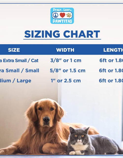 Load image into Gallery viewer, 6 FT Solid Color Leash Puppy Leash Dog Leash Comfortable Handle Dog Training Leash 6 Ft Dog Leash Medium Dog Leash / Large Dog Leash Pink Dog Leash
